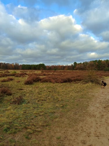 Rund um das Möwenmoor