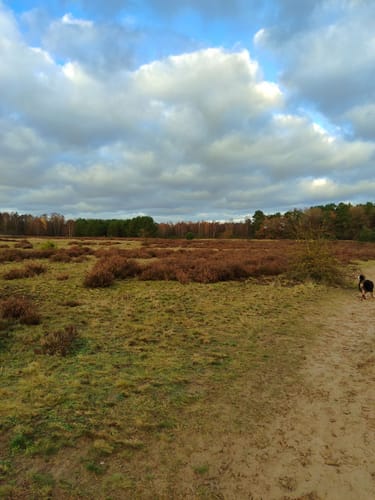 Rund um das Möwenmoor