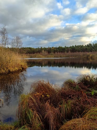 Rund um das Möwenmoor