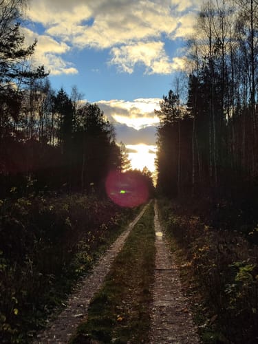 Rund um das Möwenmoor
