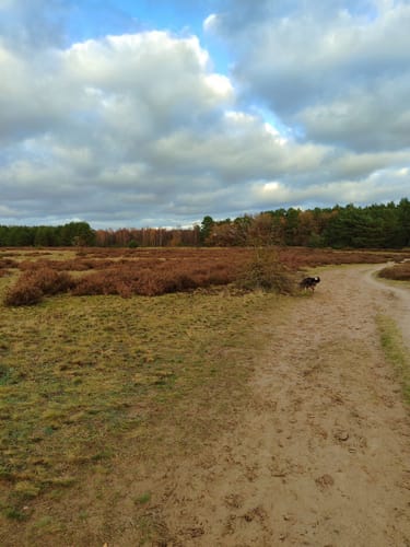 Rund um das Möwenmoor