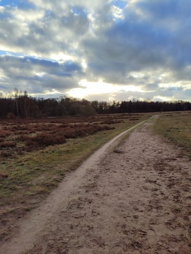 Rund um das Möwenmoor