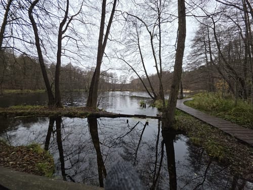 Birkenwerder - Briesetal