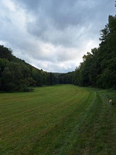Um Langenhain-Ziegenberg