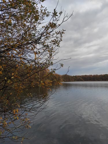 Rund um den Heideeidesee