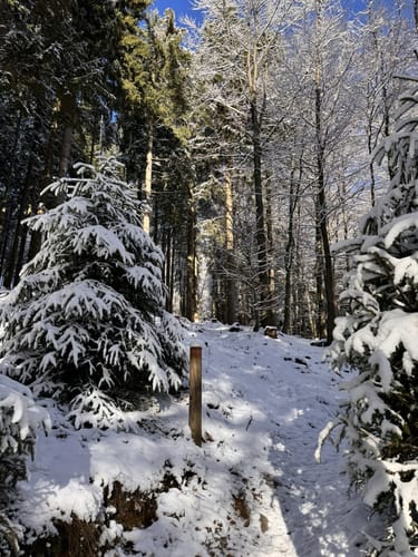 Runde bei Winterberg