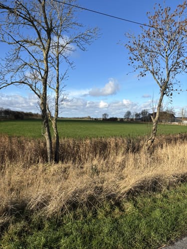 Dorum-Neufeld - Cappel-Neufeld - Cappel-Altendeich