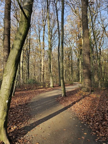 Trimm-Dich-Pfad Lüdinghausen
