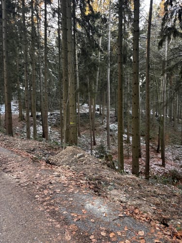 Forellenteich - Bankstein - Bösquelle