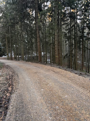 Forellenteich - Bankstein - Bösquelle