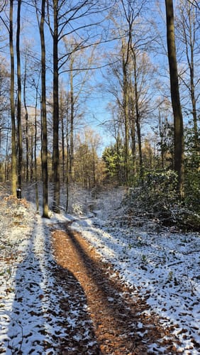 EifelSpur: Pingenwanderweg
