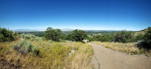 are dogs allowed in kaysville utah parks