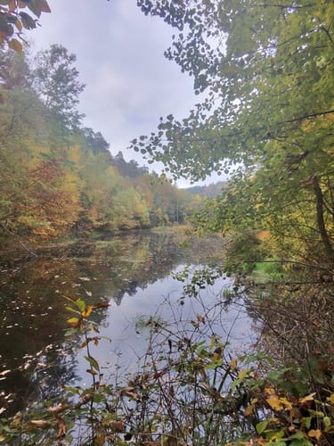 Ganerbenweg (Premiumwanderweg)