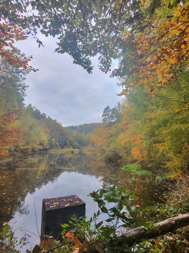 Ganerbenweg (Premiumwanderweg)