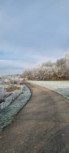 Bad Rappenau: Rundwanderung Sommerberg (BR 2)