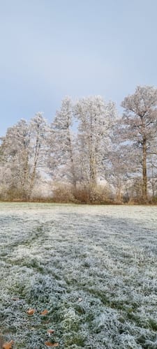 Bad Rappenau: Rundwanderung Sommerberg (BR 2)