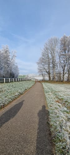 Bad Rappenau: Rundwanderung Sommerberg (BR 2)