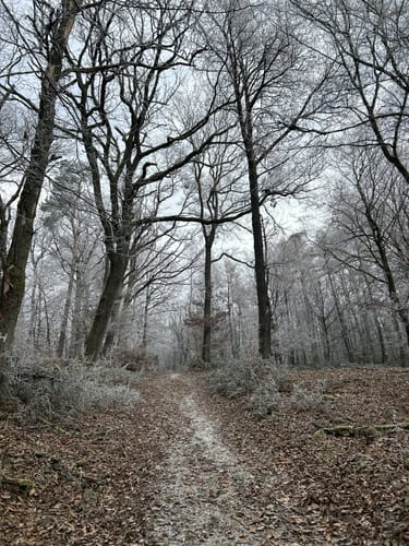 Großer Mannstein und Staufen ab Kaisertempel