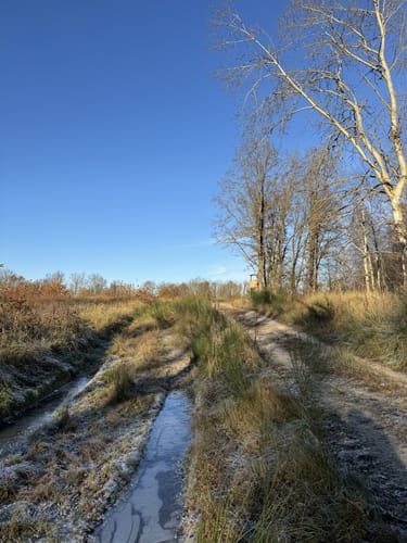 Havelpark - Hasenheide Rundweg