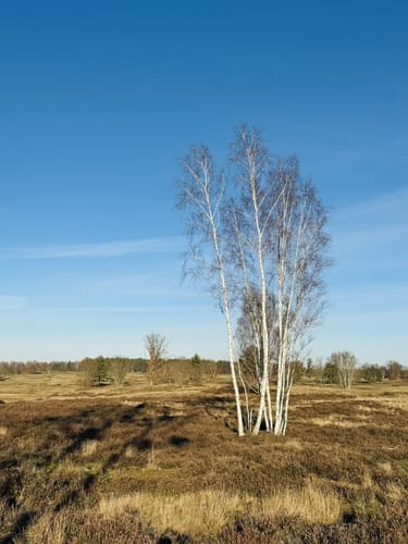 Havelpark - Hasenheide Rundweg
