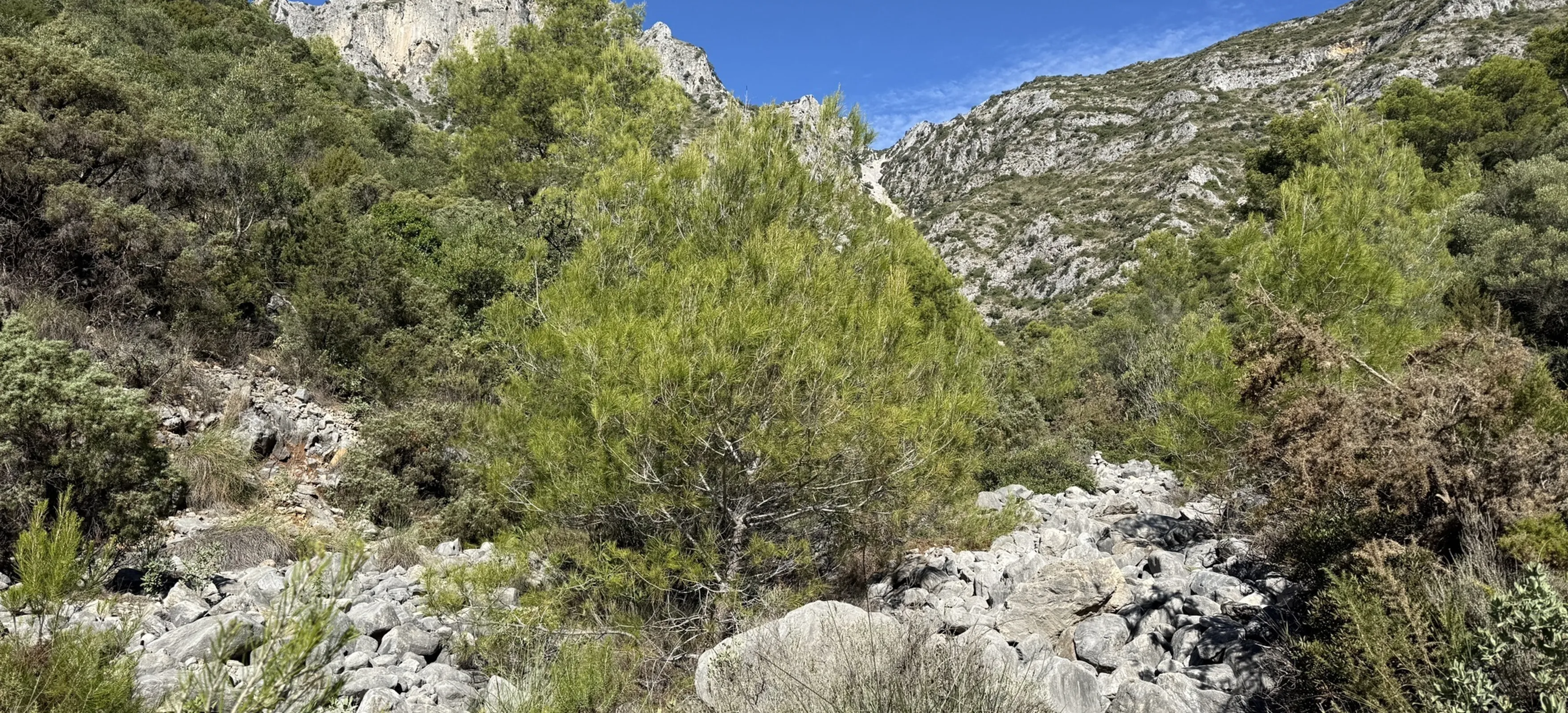 Mina de Agua de Buenavista - La Concha - Cerro del Lastonar