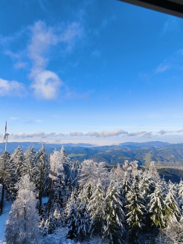 MTB Brandenkopf-Trip
