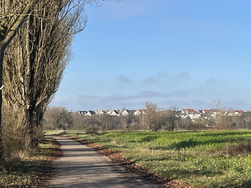 Renn zum Rhein