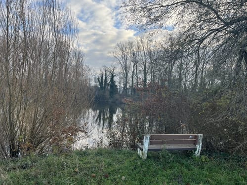 Renn zum Rhein