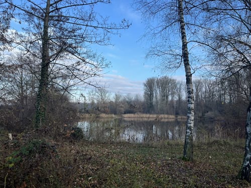 Renn zum Rhein
