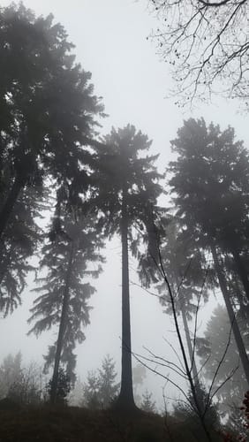 Hüggel Runde zum Silbersee