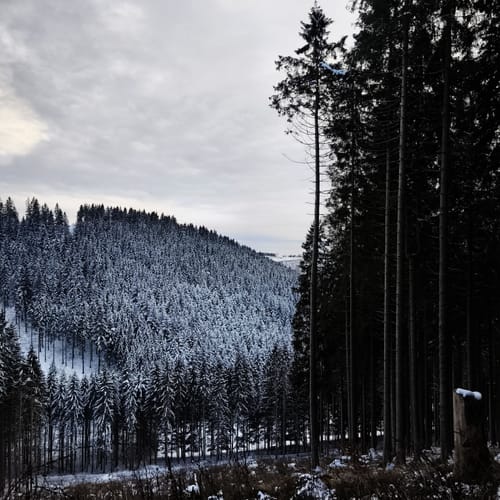 Kahler-Asten-Steig (Premiumwanderweg)