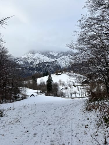 Marktschellenberg - Großer Barmstein