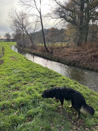 Raesfeld Wassermühle Rundwanderweg A4