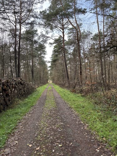 Raesfeld Wassermühle Rundwanderweg A4