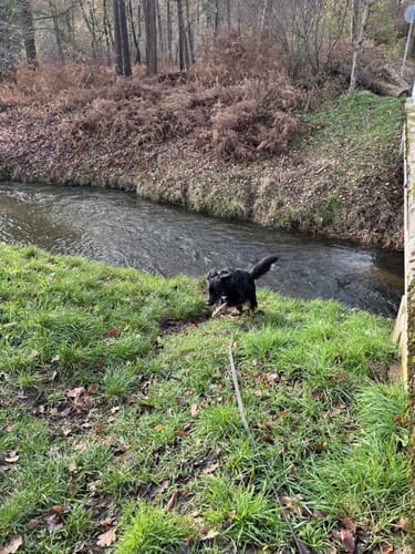 Raesfeld Wassermühle Rundwanderweg A4