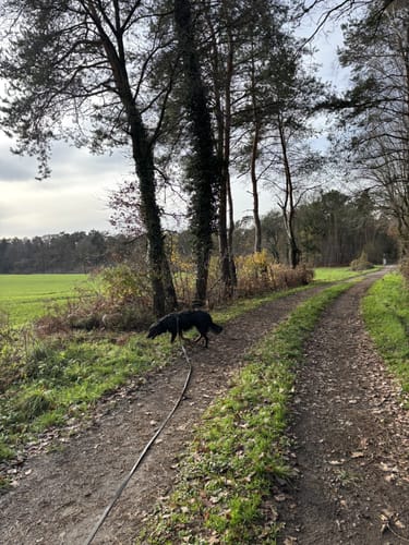 Raesfeld Wassermühle Rundwanderweg A4