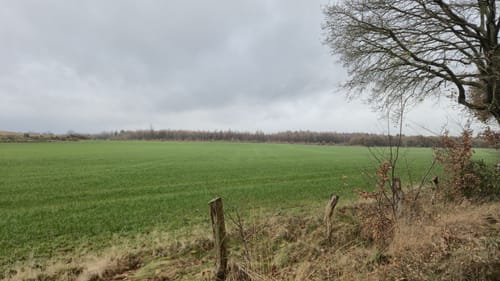 Bokel nach Mönkloh