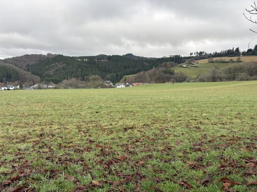 Von Kaltenbronn zur Hohen Acht