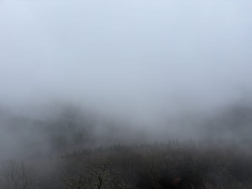 Von Kaltenbronn zur Hohen Acht