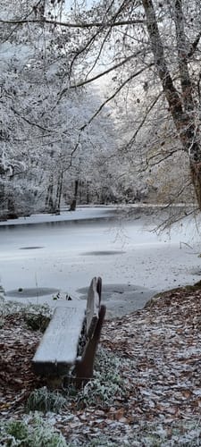 Bad Rappenau: Rundwanderung Sommerberg (BR 2)
