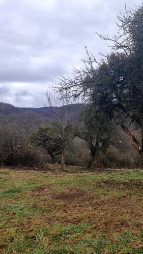 HöhenLuft (Premiumwanderweg)