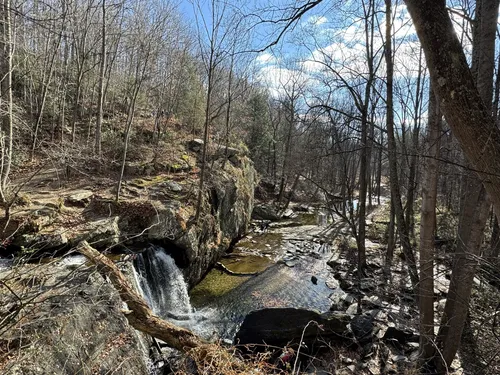 Best forest trails in Rocks State Park | AllTrails