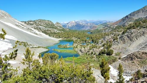 are dogs allowed at mammoth lakes