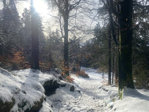 Fichtelsee - Seehaus