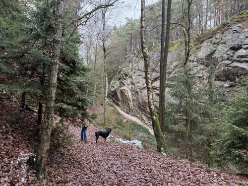 Expedition Erdgeschichte Massenricht