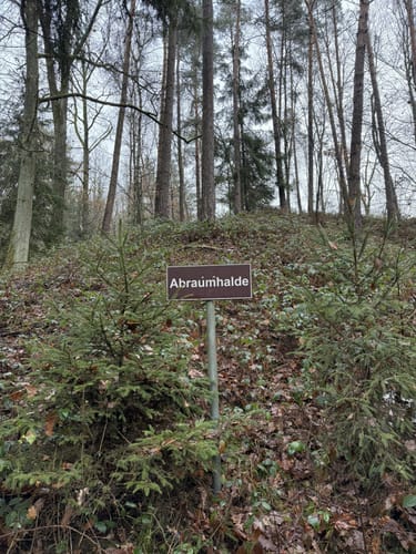 Expedition Erdgeschichte Massenricht