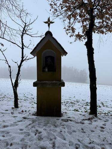 Expedition Erdgeschichte Massenricht
