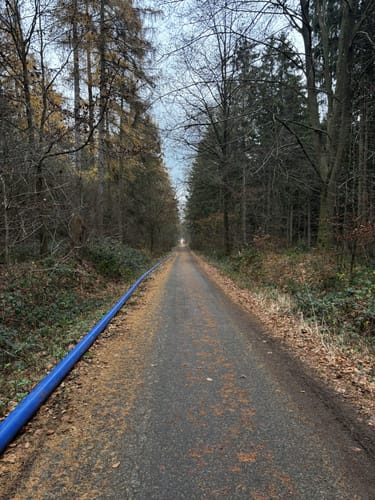 Forellenteich - Bankstein - Bösquelle