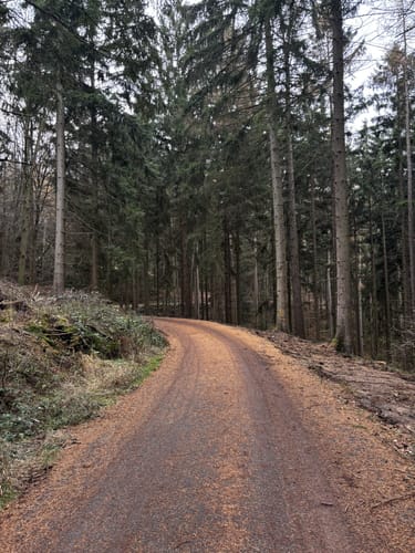 Forellenteich - Bankstein - Bösquelle