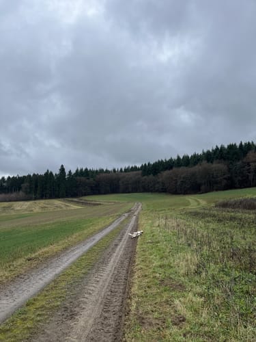 Booser Doppelmaartour (Traumpfad)